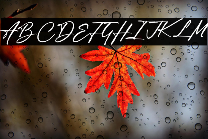 Author Think Example 2