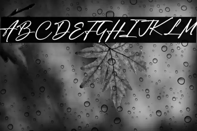 Author Think Font examples