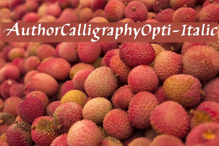 AuthorCalligraphyOpti-Italic Font examples