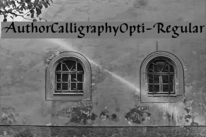 AuthorCalligraphyOpti-Regular Font examples
