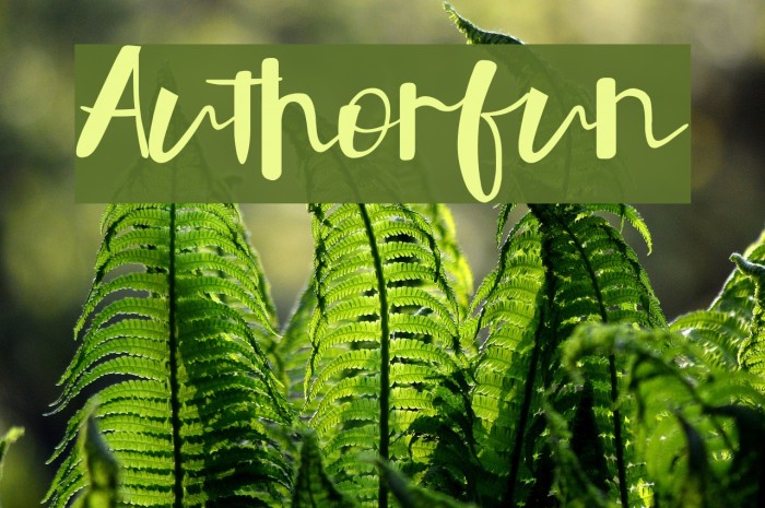 Authorfun フォント examples