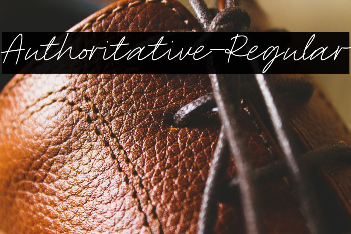 Authoritative-Regular Example 1