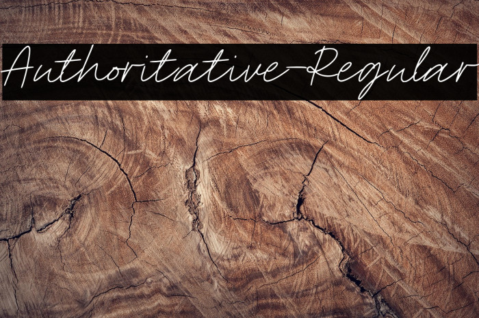 Authoritative-Regular Example 2