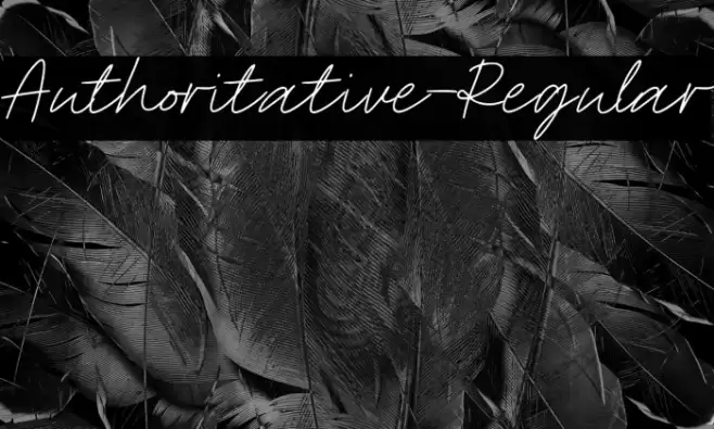 Authoritative-Regular Font examples