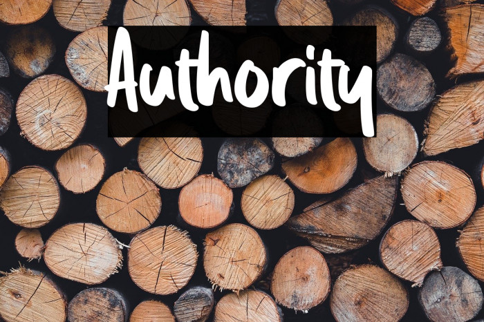Authority Example 3
