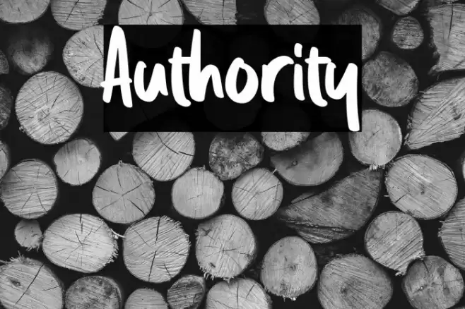 Authority Font examples