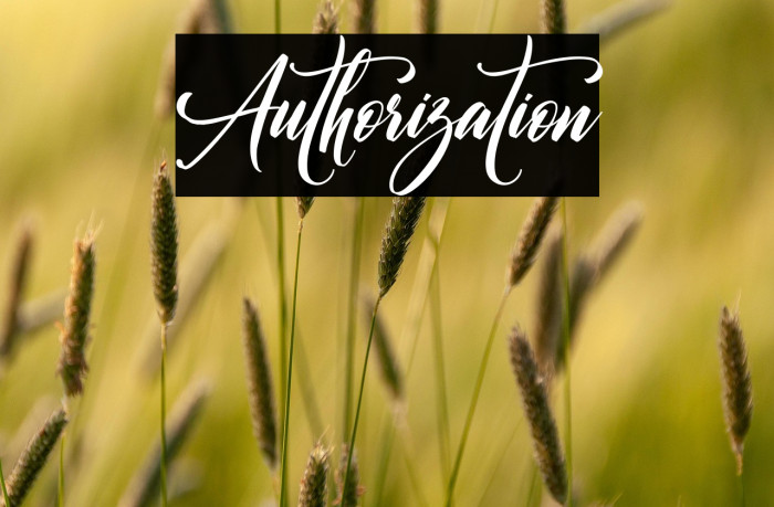 Authorization Example 1