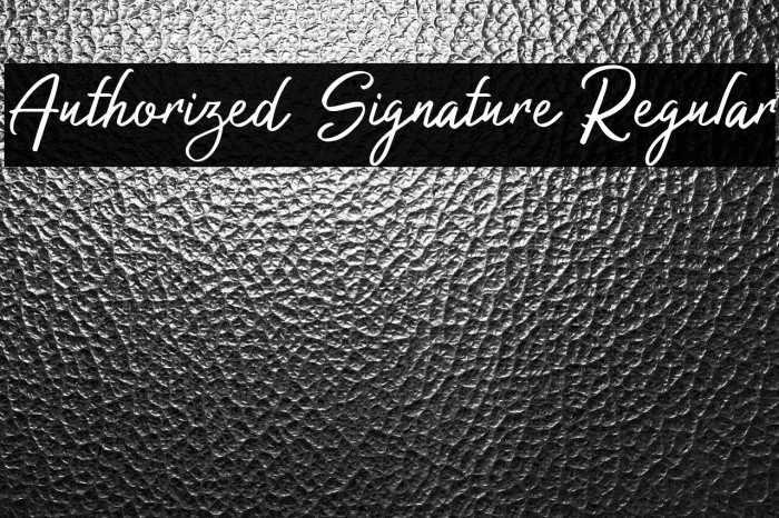 Authorized Signature Regular Example 2