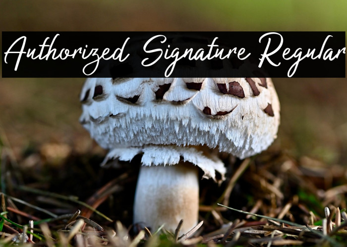 Authorized Signature Regular Example 3