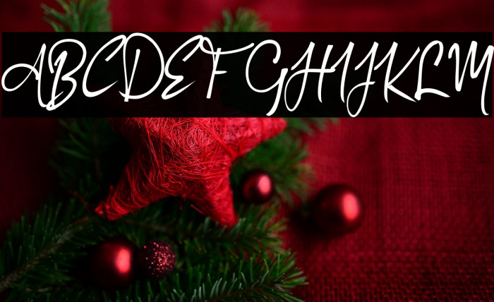 Authorized_Signature Example 1