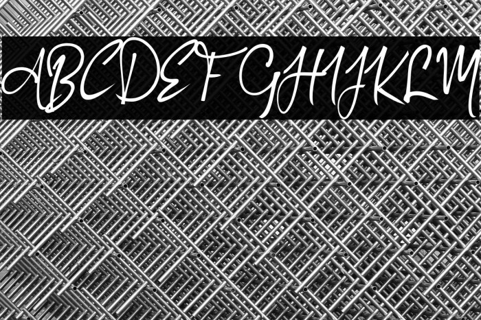 Authorized_Signature Example 2