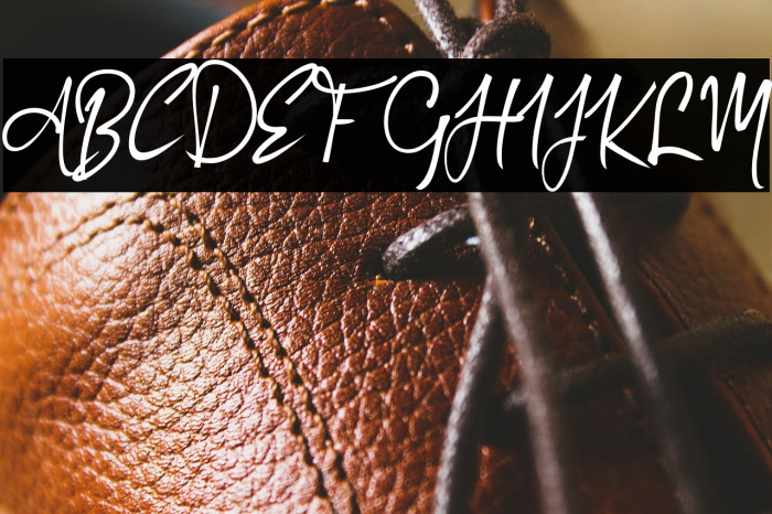 Authorized_Signature Example 3