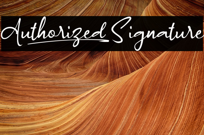 Authorized_Signature Example 1