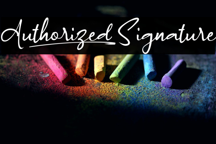 Authorized_Signature Example 2