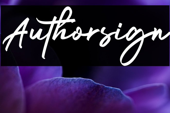 Authorsign Example 1