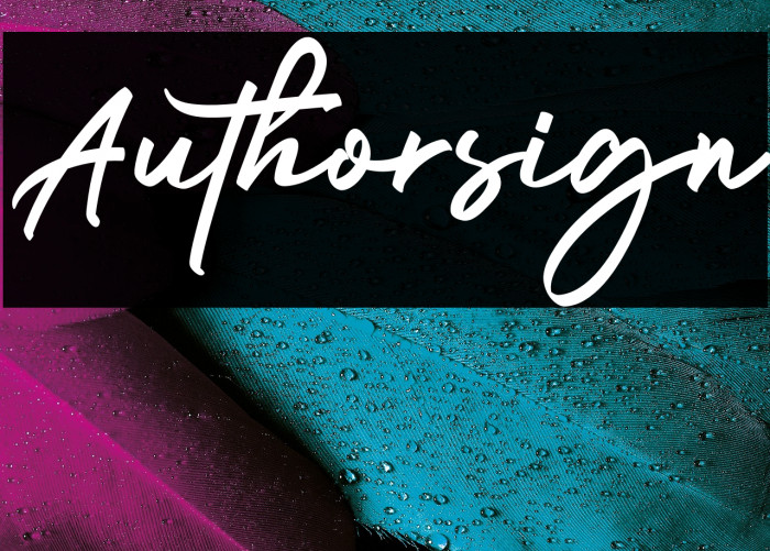 Authorsign Example 2