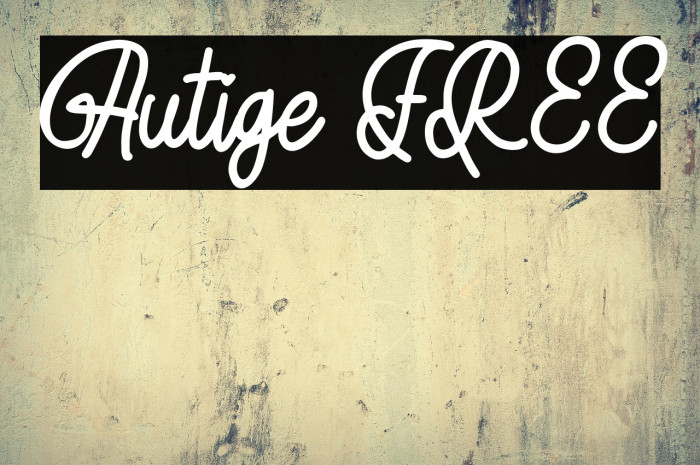 Autige FREE Example 2