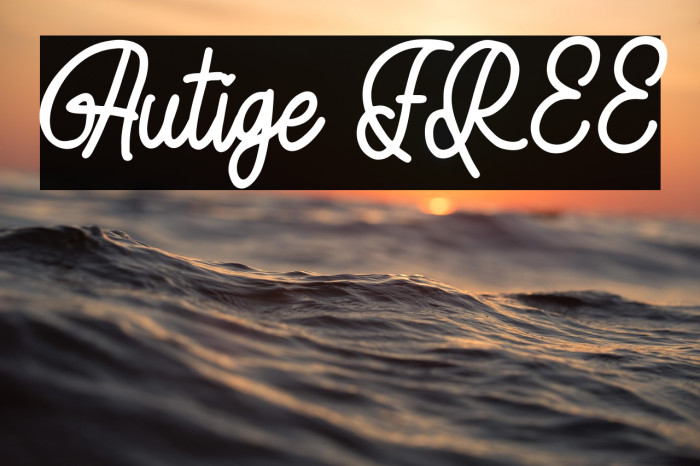 Autige FREE Example 3