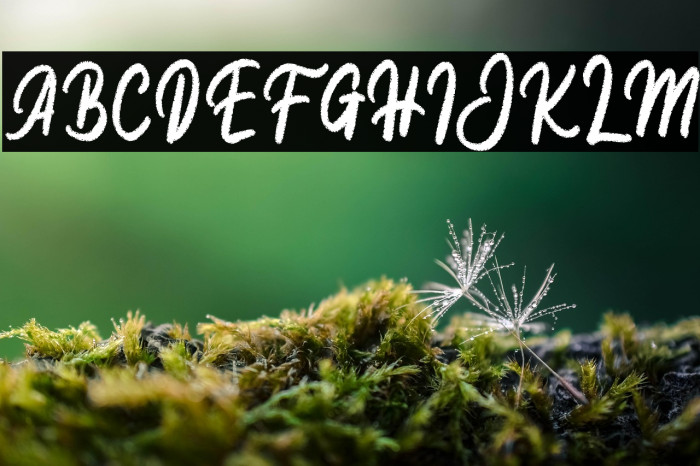 Autikec FREE Example 3