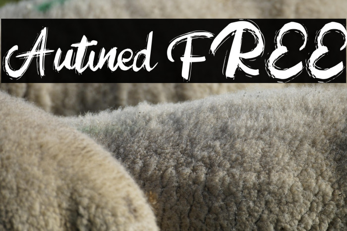 Autined FREE Example 2