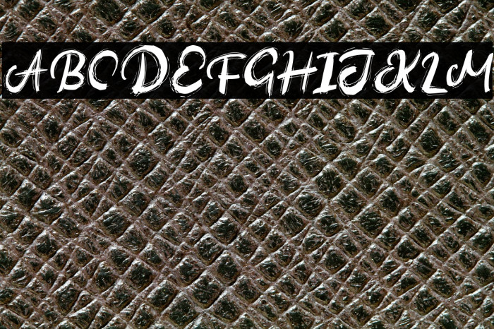 AutinedFREE Example 1