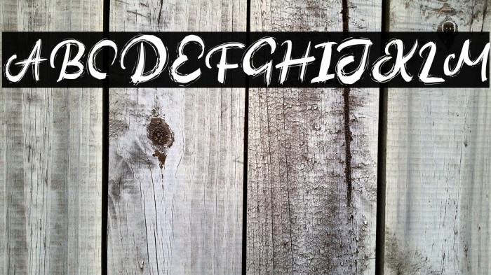 AutinedFREE Example 2