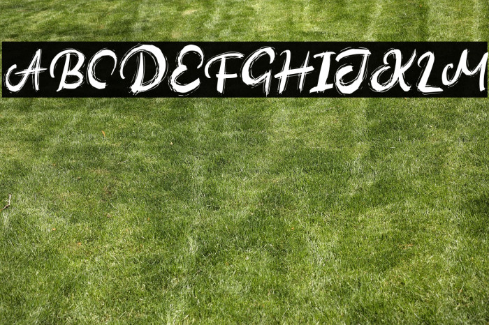 AutinedFREE Example 3