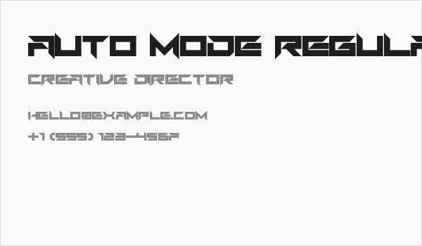 Auto Mode Regular Business Card
