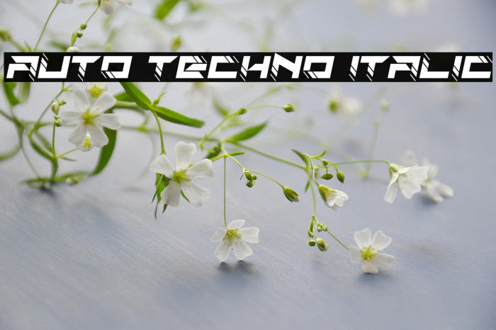 Auto Techno Italic Example 1