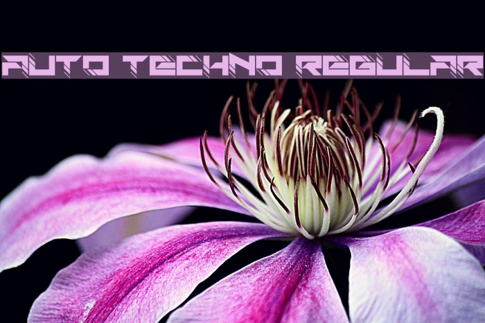 Auto Techno Regular Example 3