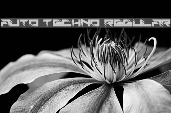Auto Techno Regular Font examples