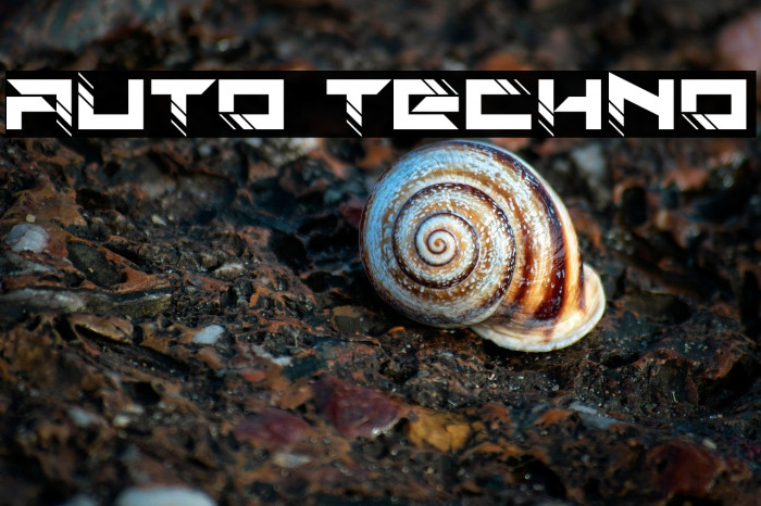 Auto Techno Example 2