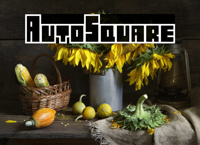 AutoSquare Example 2