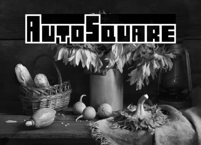 AutoSquare Caratteri examples