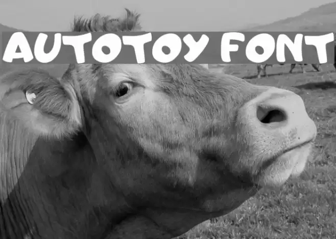 AutoToy font フォント examples