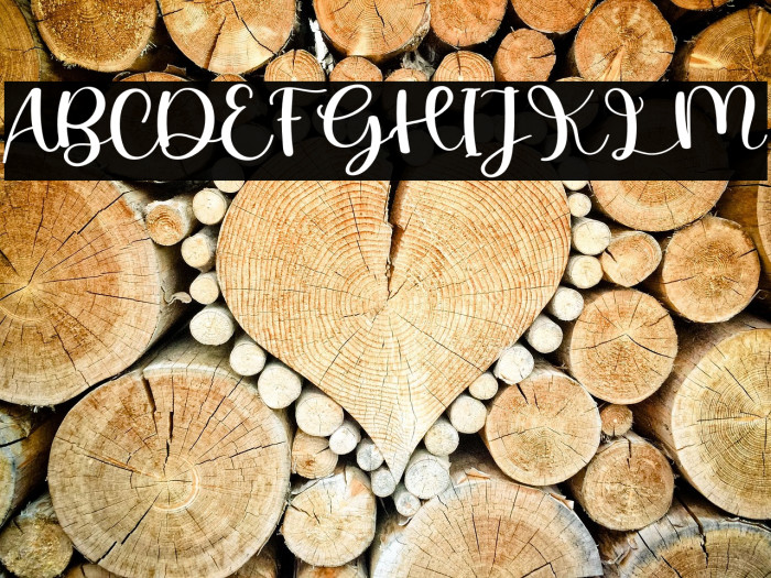 Autobiography Example 2