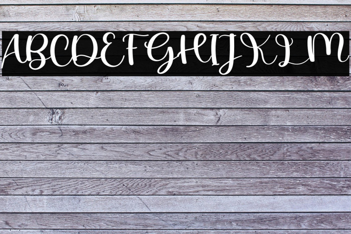 Autobiography Example 3