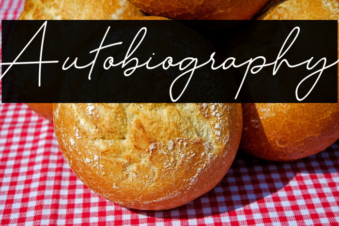 Autobiography Example 3