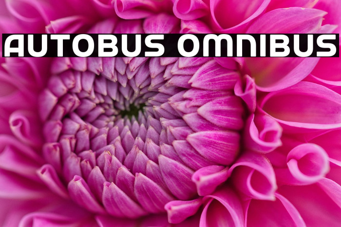 Autobus Omnibus Example 1
