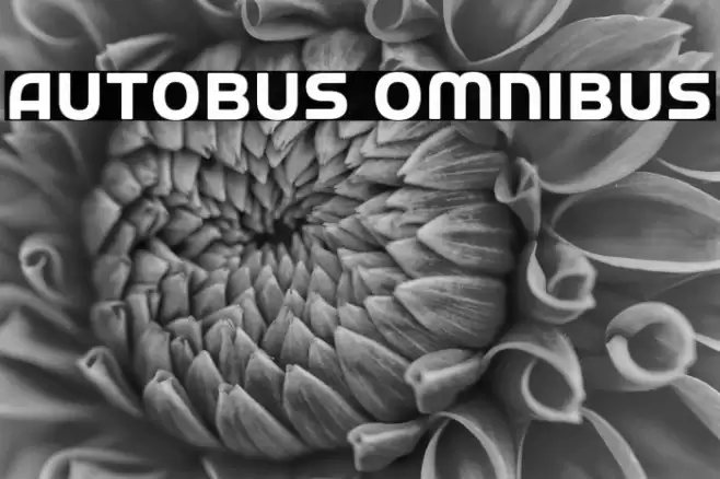 Autobus Omnibus Font examples