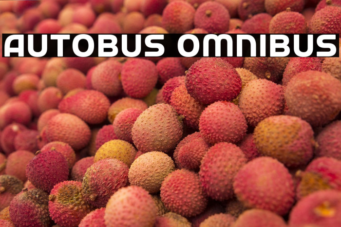 Autobus Omnibus Example 2