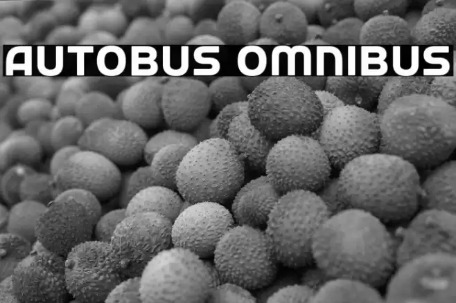 Autobus Omnibus Font examples