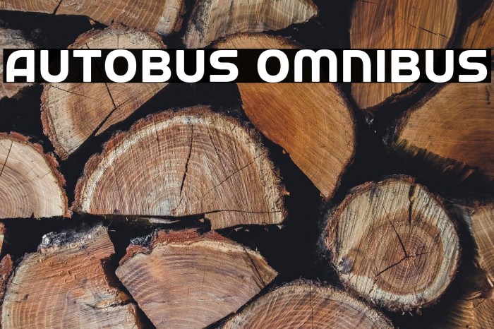 Autobus Omnibus Example 3