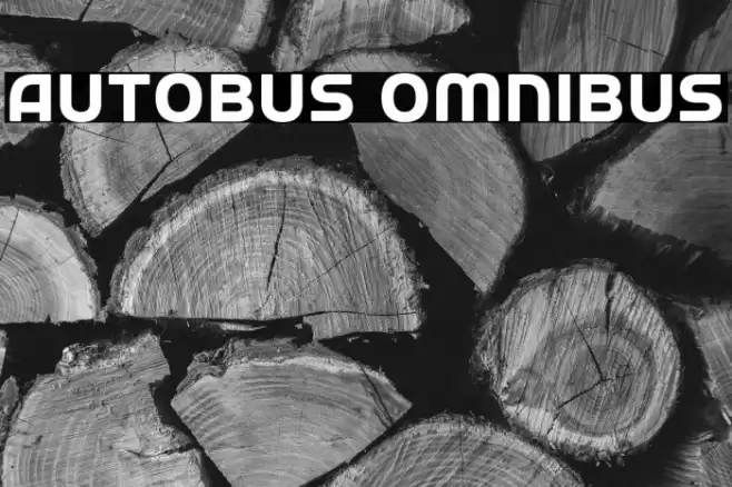 Autobus Omnibus Font examples