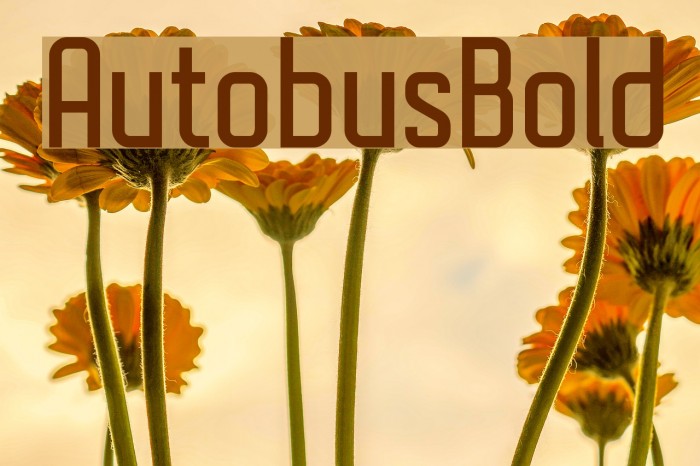 AutobusBold Font examples