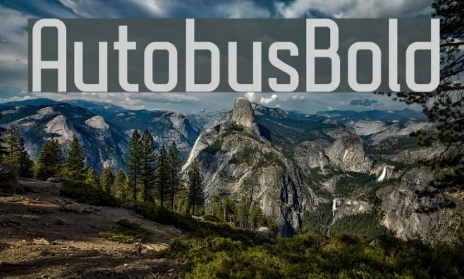 AutobusBold Example 2