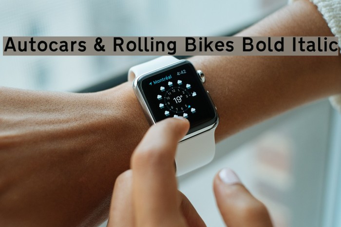 Autocars & Rolling Bikes Bold Italic Font examples