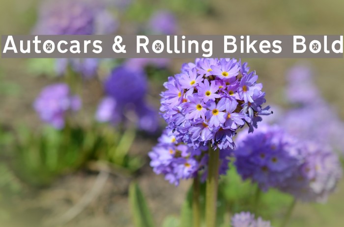 Autocars & Rolling Bikes Bold Font examples