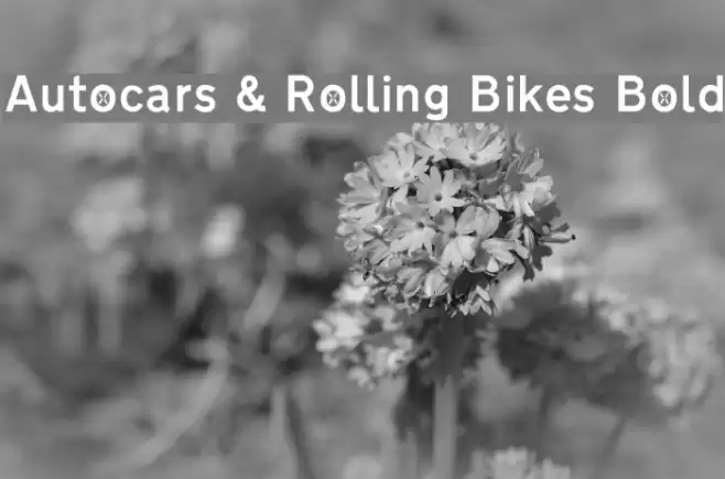 Autocars & Rolling Bikes Bold Polices examples