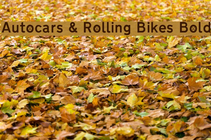 Autocars & Rolling Bikes Bold Font examples